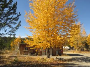 8 P O (Fall At Ginty Creek)