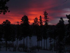 14 red synrise (Happy New Year)