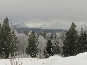 21 hoary. (Happy New Year)