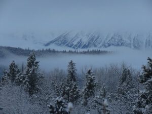 5 bit more snow. (Happy New Year)