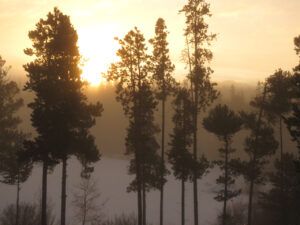 2 fog (ALMOST EQUINOX)