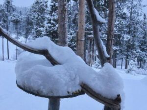 21 snow (ALMOST EQUINOX)