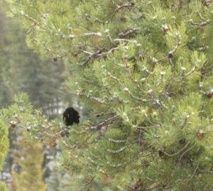 31 RWBB (ALMOST EQUINOX)