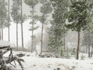 12 snowstorm (ALMOST EQUINOX)