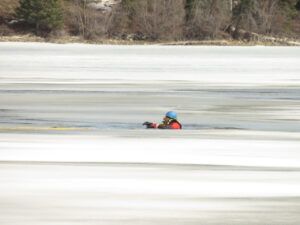 10 In (IS IT SPRING YET?)