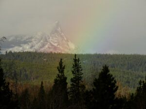 8 rainbow (ANDREW)
