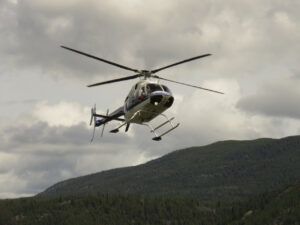 13 coming in (TRIPS WITH ANDREW.)