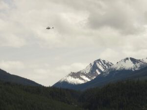 14 Andrew’s flight. (TRIPS WITH ANDREW.)