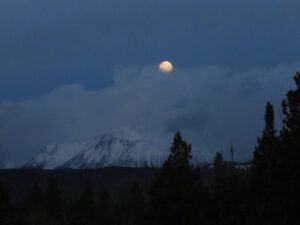 15 April moon (IS IT SPRING YET?)