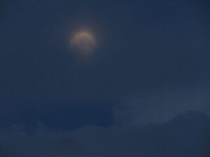 17 moon in cloud (IS IT SPRING YET?)