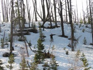 17 in snow (TRIPS WITH ANDREW.)