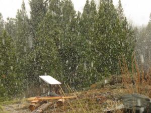 18 snow (IS IT SPRING YET?)