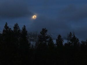 18 May moon (ANDREW)