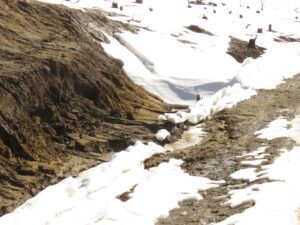 3 road going out. (IS IT SPRING YET?)