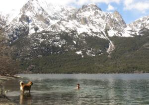 4 swimming (TRIPS WITH ANDREW.)