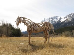 6 cedar’s horse (TRIPS WITH ANDREW.)