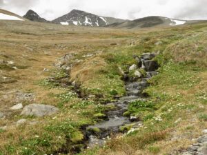 10 creek (Perkins Peak)