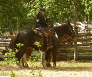 11 cell phone (EVENTS)