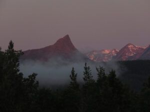 16 turned cold (SPRING)