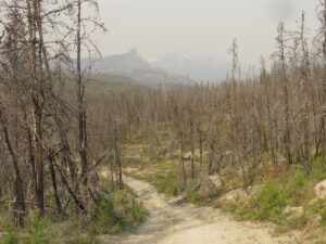 4 road to waterfall (Where There’s Smoke There’s Fire.)