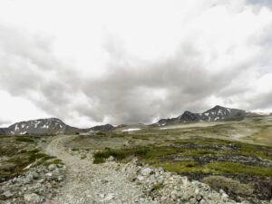 6 road (Perkins Peak)