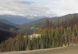 10 road (FIRES UPDATE)