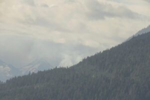 12 melican fire (FIRES UPDATE)