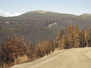 IMG_0408 (FIRES UPDATE)