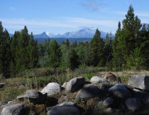 1 clear view (Summers End)