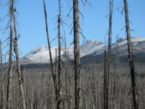 1 rainbows (The Slow Slide Into Winter.)