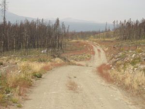 12 fall start (Summers End)