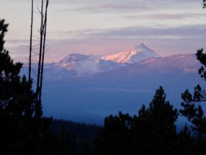 15 PP (The Slow Slide Into Winter.)