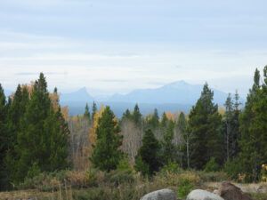 15 fewer leaves, smoke (The Slow Slide Into Winter.)