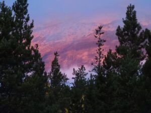 17 morning fog (The Slow Slide Into Winter.)