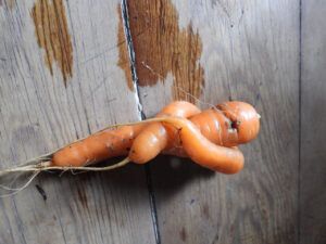 19 2s company (The Slow Slide Into Winter.)