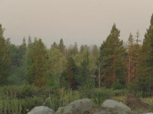 2 smoke. (Summers End)