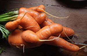 21 veritable orgy. (The Slow Slide Into Winter.)