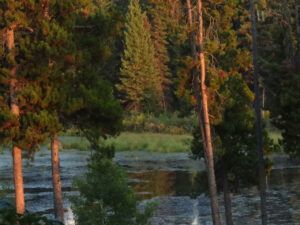 22 evening (Summers End)