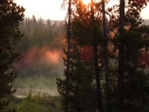 24 mist and smoke (Summers End)