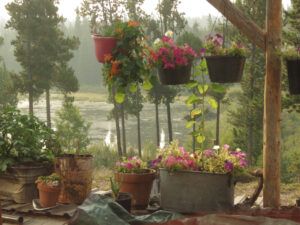 3 smokey pond (Summers End)