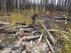 firewood (The Slow Slide Into Winter.)