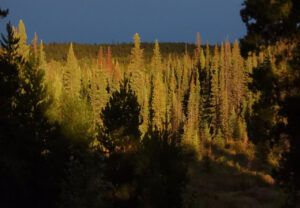 8 strong evening light. (The Hell Raving Fire)