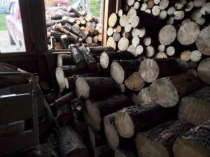 woodshed (The Slow Slide Into Winter.)