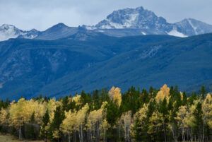 DSCN0694 (Sensory Overload)