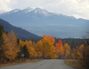 DSCN0776 (Sensory Overload)