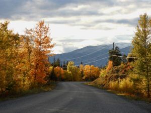 DSCN0784 (Sensory Overload)