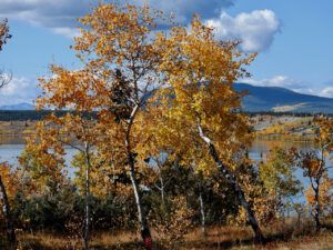 DSCN0841 (Sensory Overload)