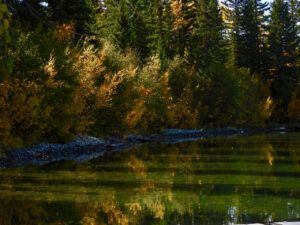 DSCN0848 (Sensory Overload)