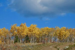 DSCN0886 (Sensory Overload)