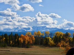 DSCN0887 (Sensory Overload)